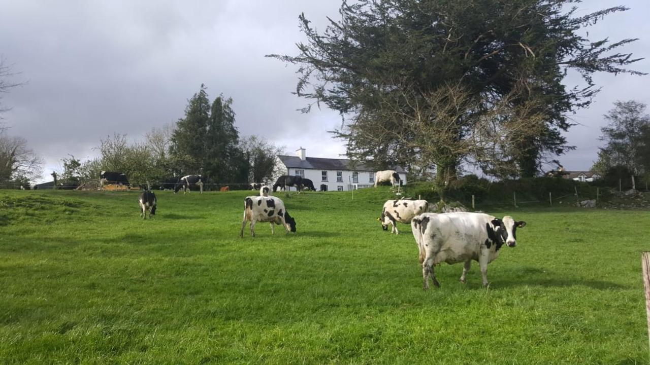 Bed and breakfast Gortamullen House, Kenmare Extérieur photo
